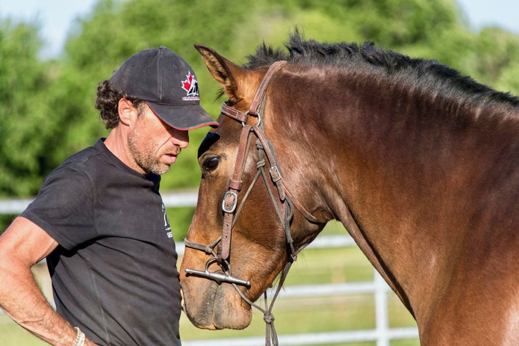 AMELIORER LA COMMUNICATION AVEC SON CHEVAL at 4 CHEMIN CANDAU, 64410